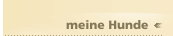 meine Hunde