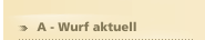  A - Wurf aktuell