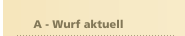  A - Wurf aktuell
